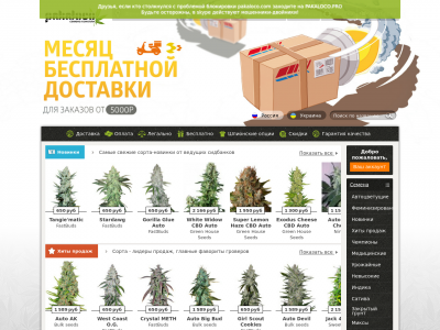 Пакалоко Магазин Семян Официальный Сайт